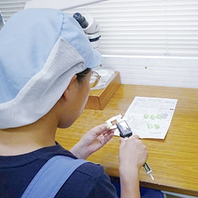 測定・検品作業の様子